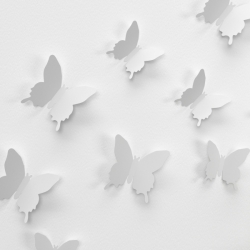 butterfly-1049687_1280