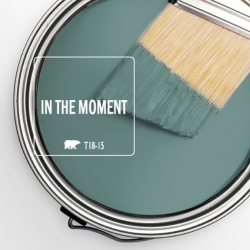 In-the-Moment-Brush